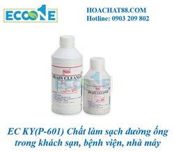 EC KY(P-601) Chất làm sạch đường ống trong khách sạn, bệnh viện, nhà máy